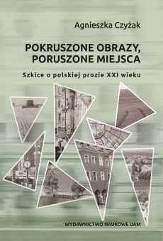 Pokruszone obrazy, poruszone miejsca. Szkice o polskiej prozie XXI wieku (E-book)